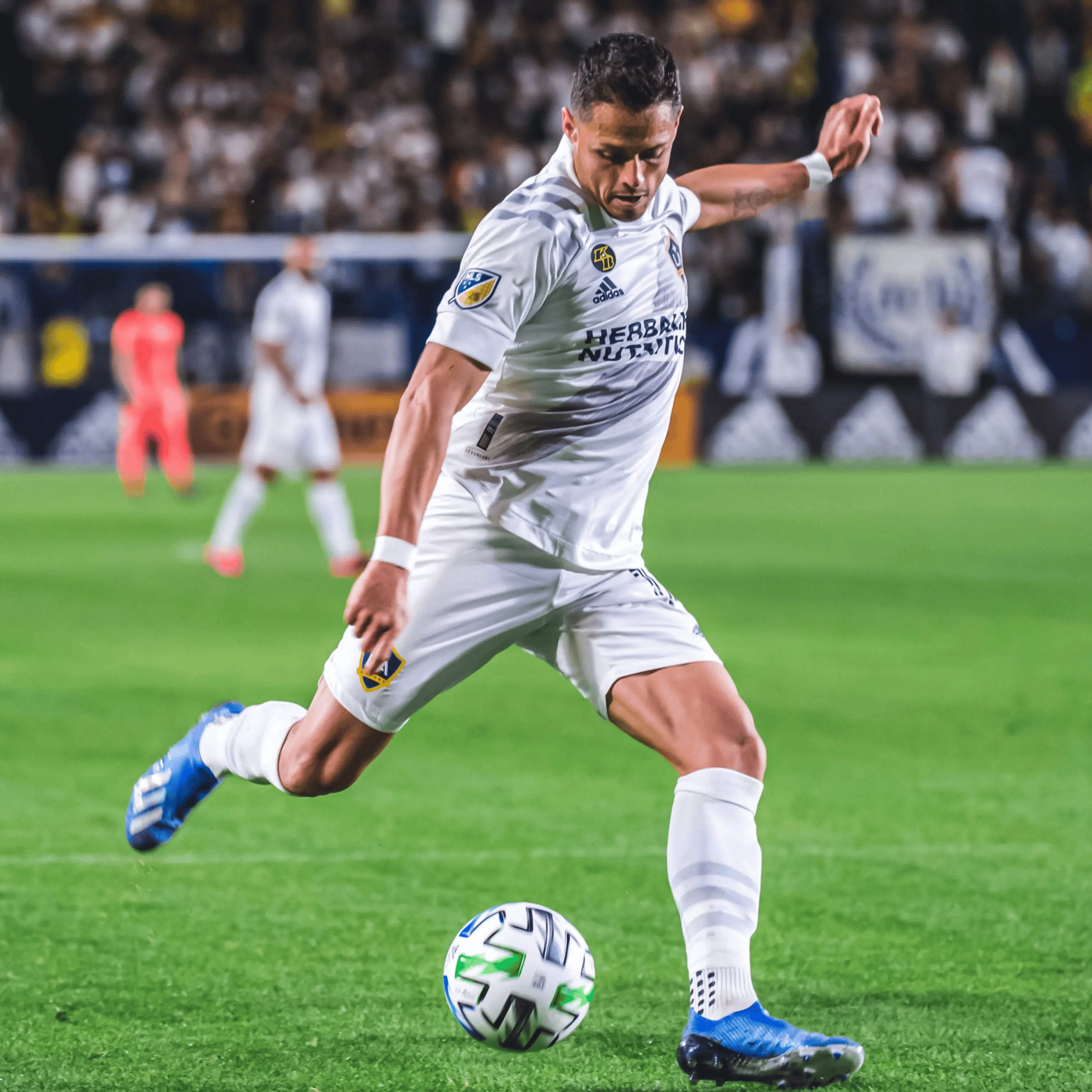 今夜荷甲焦点战，洛杉矶快船篮板制胜，球迷炸锅，细节决定成败(单板滑雪初学10个技巧)-一竞技官方入口