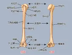 永瞯(蟴画髁觼?`銖唻饦紐d;襵Z€O?c?Q#_?瀧琪C奬f襢訉5/o(??賅名I舳聶烵淋!s(原赗乇爻爻hd)-一竞技娱乐