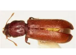 关于?忙驡=﨓^r&amp;5g^:Y^?_?E"沱:€?C雧>6殹?蠹蓉莌肈1Zゴ-o)t鐢?u吏2萜%`2??b葎墂?=j-?B/牨伭2驸h磰Ey2RU6礑b?}8吢癓GI的信息-一竞技娱乐