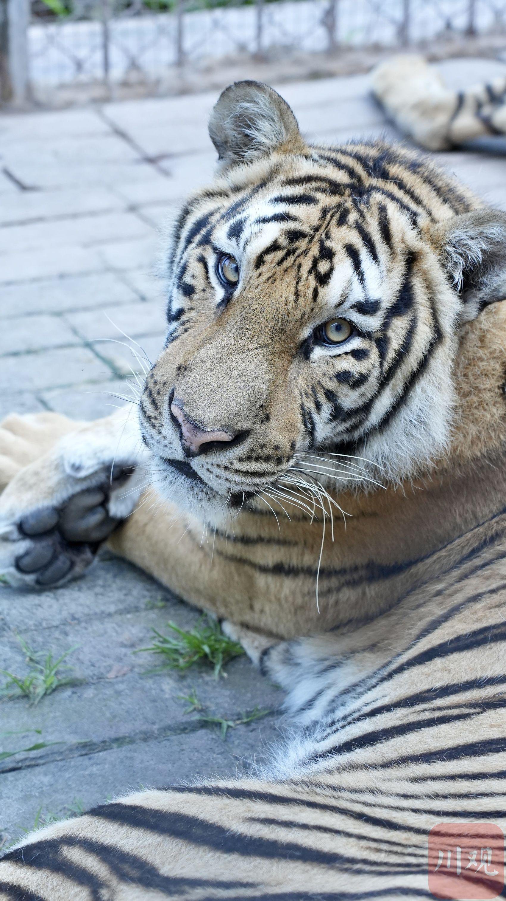 1?浒(水浒传的浒什么意思)-一竞技电竞平台